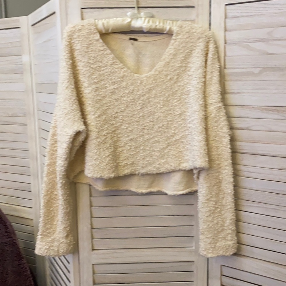 Free people sweater